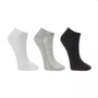 Kit 3 Pares Meias Winston Cano Curto 34 a 38